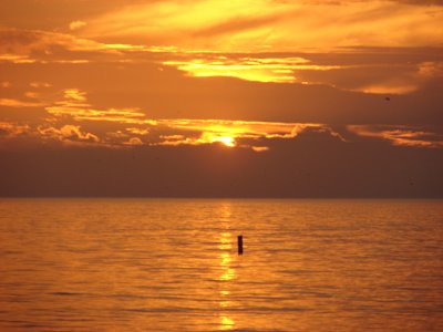 sunset siesta